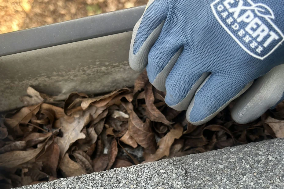 Gutter Cleaning Oviedo FL