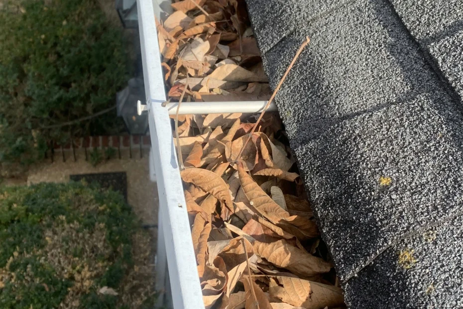 Gutter Cleaning Oviedo FL