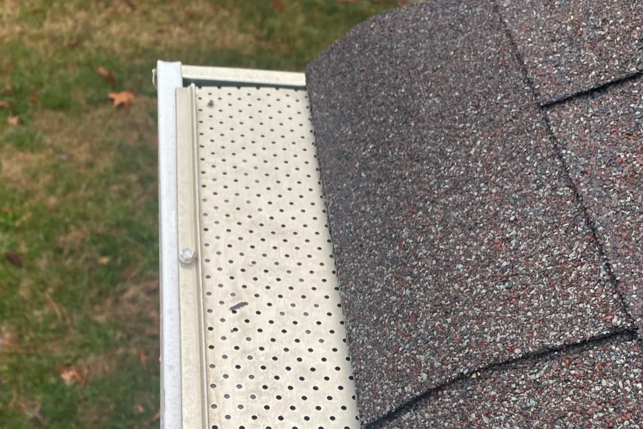 Gutter Cleaning Oviedo FL